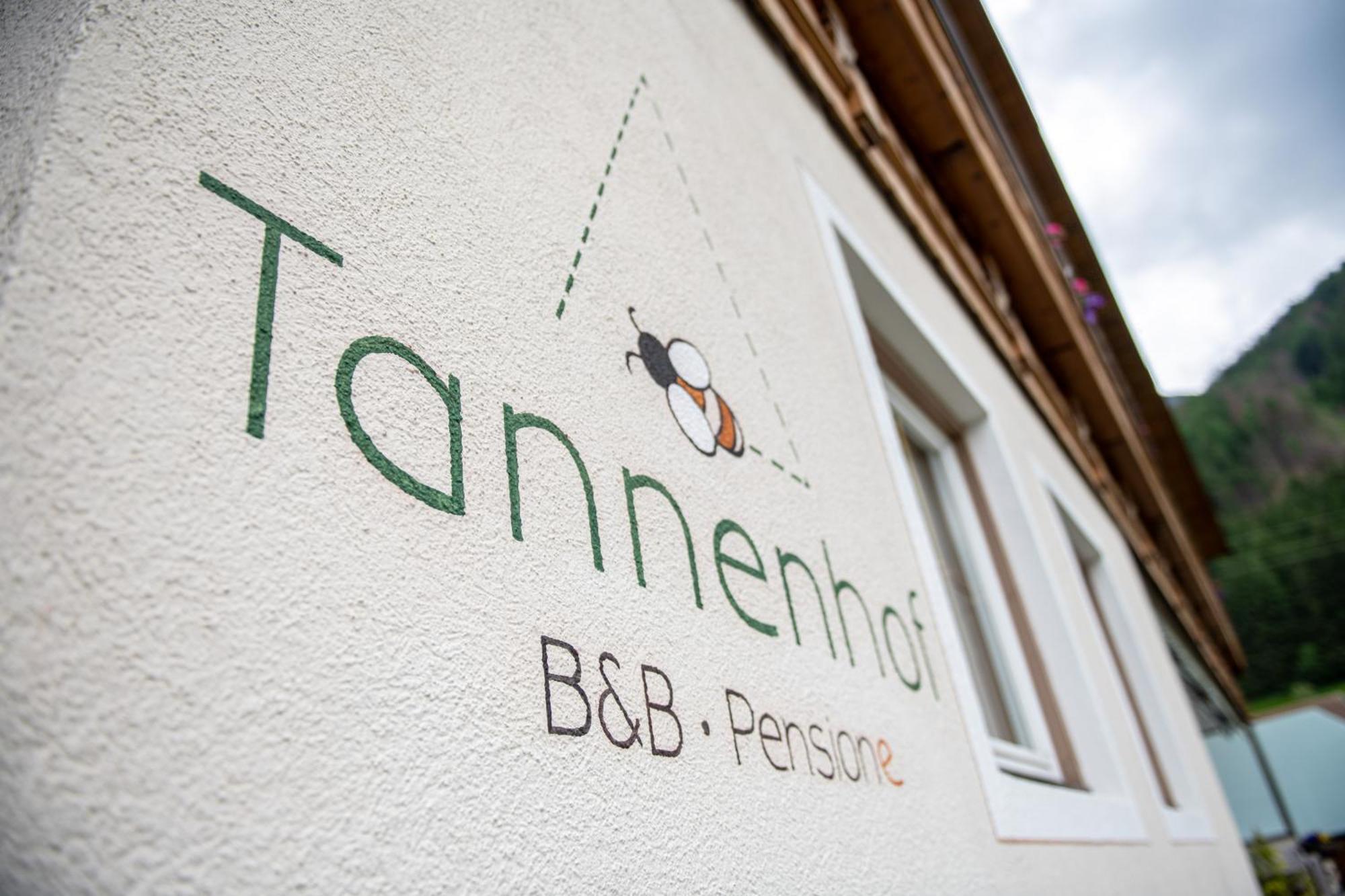 Гостевой дом Pension Tannenhof Ahrntal Экстерьер фото